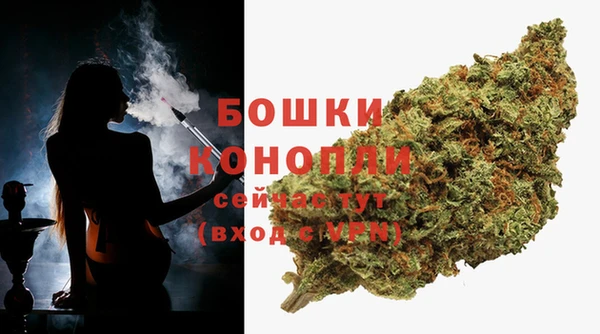 гидра Лиски
