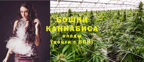 гидра Лиски