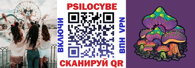 Купить где  Ставрополь  Псилоцибиновые грибы GOLDEN TEACHER